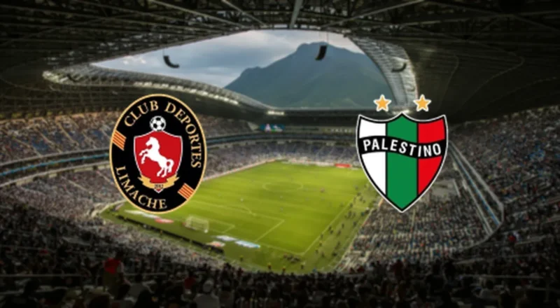 Prediction cover: Deportes Limache vs Palestino