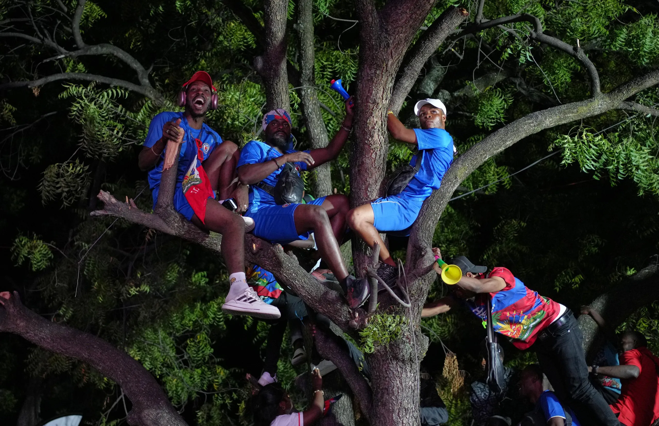 Haitian fans watch the match between Scotland and Haiti from up in a tree during a World Cup viewing party in Port-au-Prince