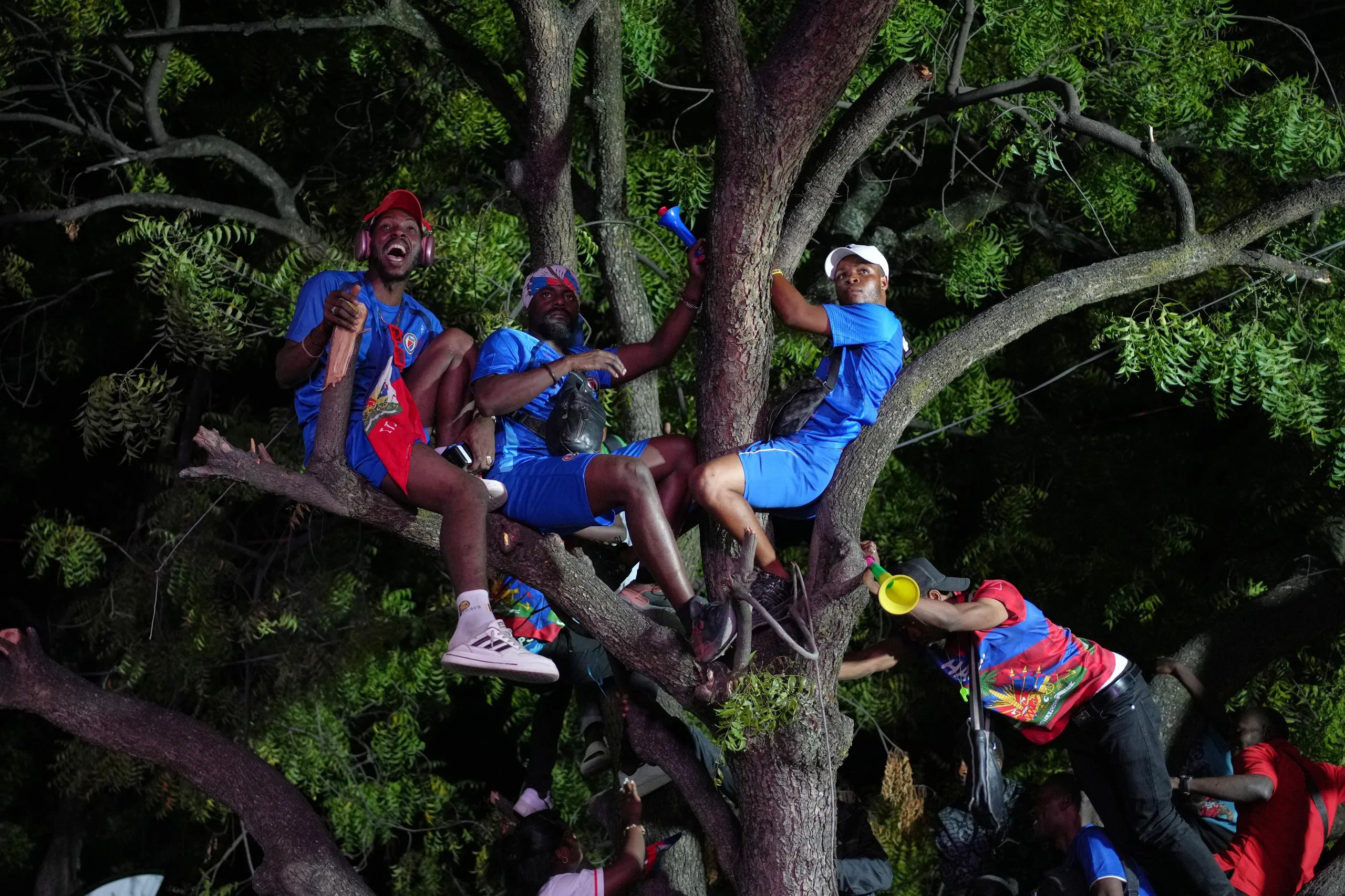 Haitian fans perched in a tree in Port-au-Prince watching the match between Scotland and Haiti.