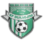 Dukagjini