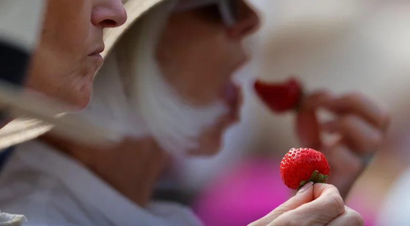 Spit, polish and strawberries: Wimbledon ignores the real world to perfection